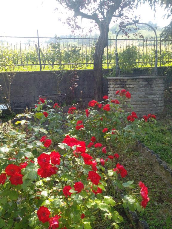 Casa Badinot Pension Diano dʼAlba Kamer foto