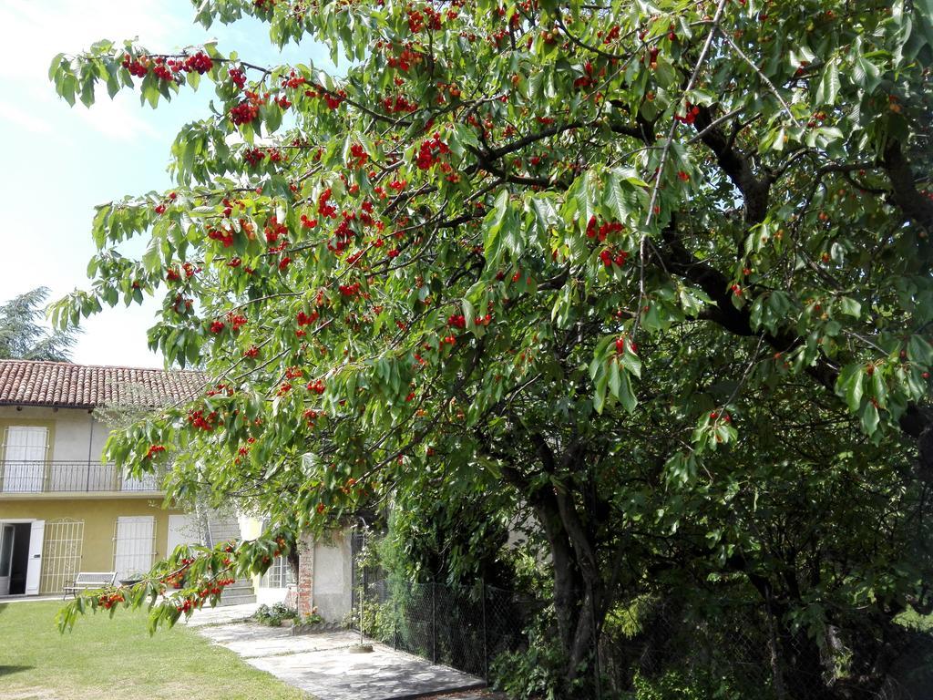 Casa Badinot Pension Diano dʼAlba Buitenkant foto